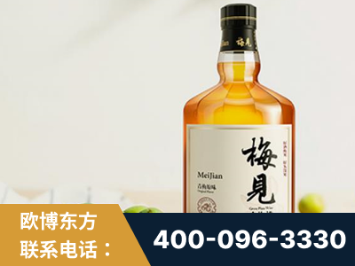 醴陵-梅见青梅酒